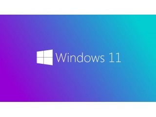 Dell случайно раскрыла дату выхода новой версии Windows 11